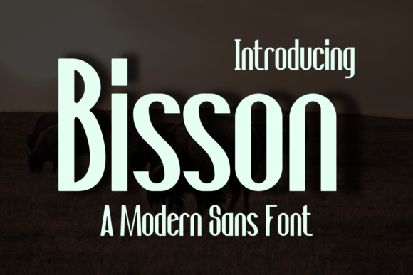 Bisson: A Modern Sans Serif Typeface for Editorial Branding