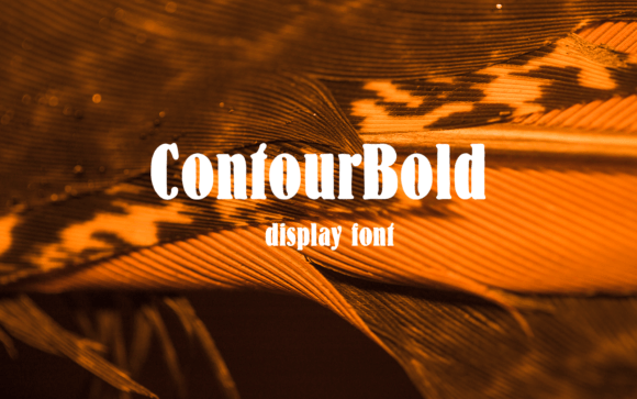 Contour Bold: A Dynamic Typeface for Modern Editorial Design